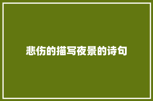 悲伤的描写夜景的诗句