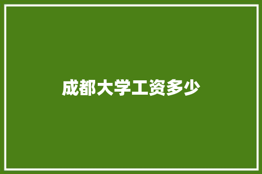 成都大学工资多少 工作总结