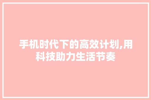 手机时代下的高效计划,用科技助力生活节奏