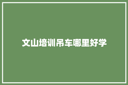 文山培训吊车哪里好学