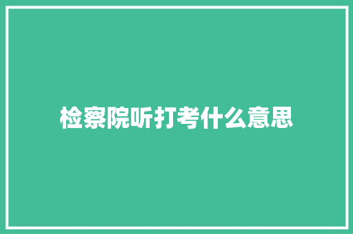 检察院听打考什么意思