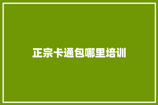 正宗卡通包哪里培训