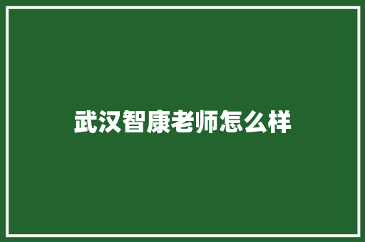 武汉智康老师怎么样