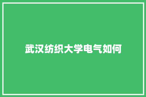 武汉纺织大学电气如何