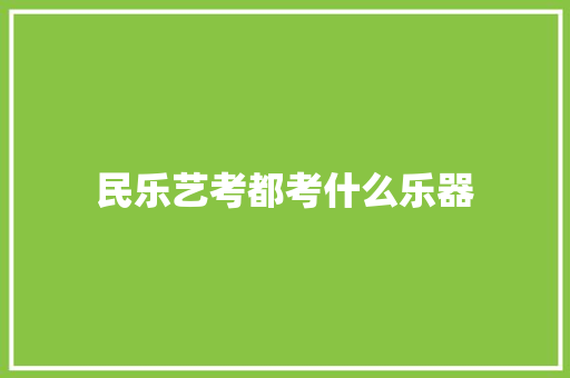 民乐艺考都考什么乐器