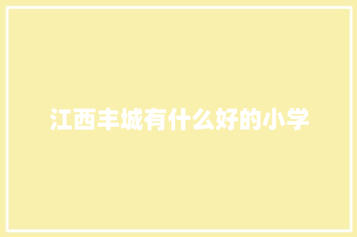 江西丰城有什么好的小学