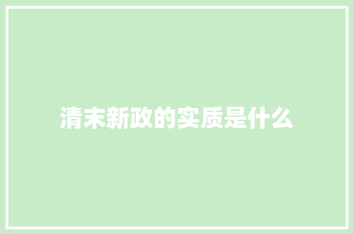 清末新政的实质是什么