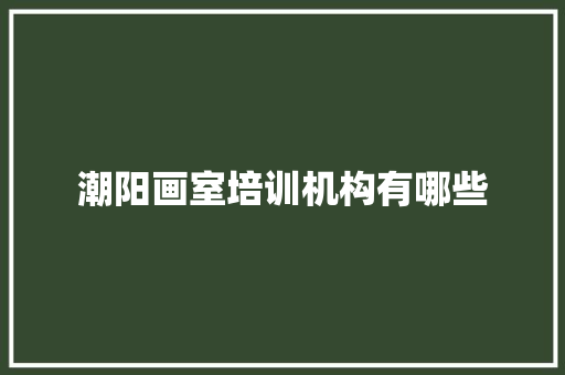潮阳画室培训机构有哪些