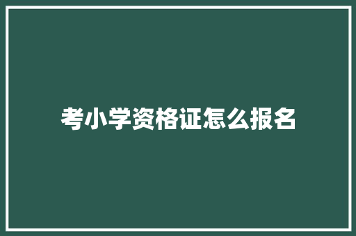 考小学资格证怎么报名