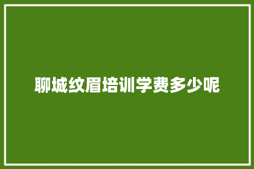 聊城纹眉培训学费多少呢 工作总结
