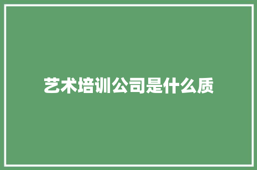 艺术培训公司是什么质