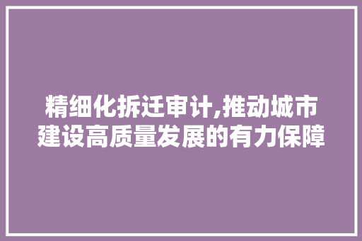 精细化拆迁审计,推动城市建设高质量发展的有力保障