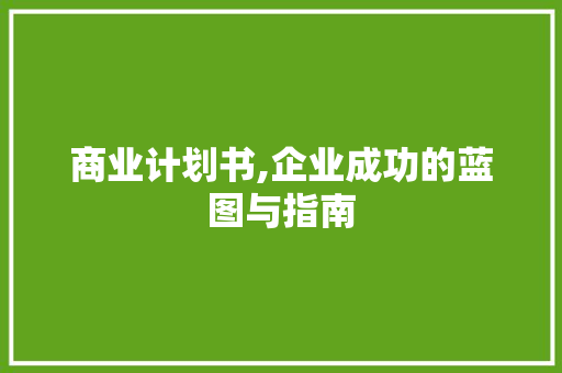 商业计划书,企业成功的蓝图与指南 工作计划
