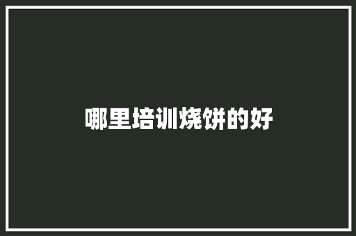 哪里培训烧饼的好