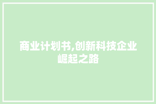 商业计划书,创新科技企业崛起之路