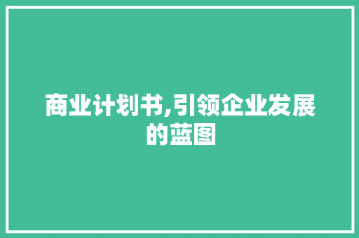 商业计划书,引领企业发展的蓝图