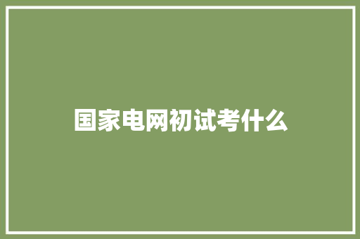 国家电网初试考什么