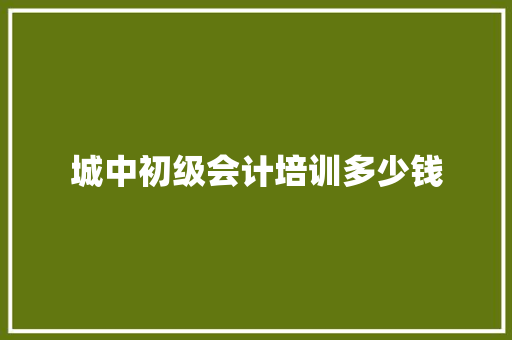 城中初级会计培训多少钱