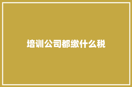 培训公司都缴什么税
