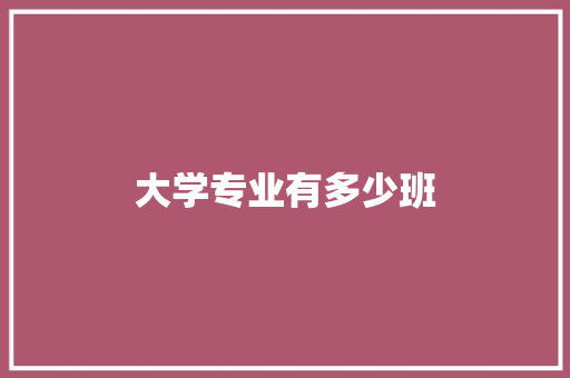 大学专业有多少班