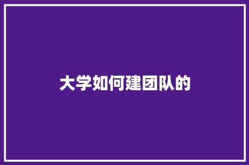 大学如何建团队的