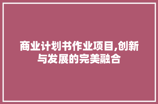 商业计划书作业项目,创新与发展的完美融合