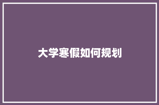 大学寒假如何规划 个人简历