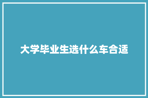 大学毕业生选什么车合适