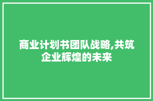 商业计划书团队战略,共筑企业辉煌的未来 工作总结