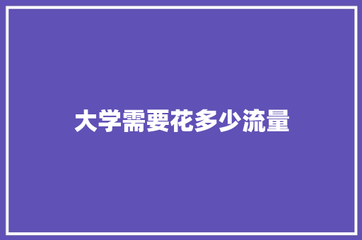 大学需要花多少流量