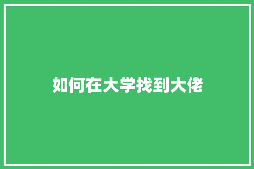如何在大学找到大佬