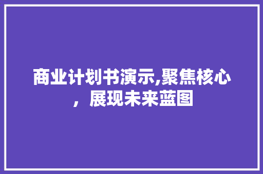 商业计划书演示,聚焦核心，展现未来蓝图