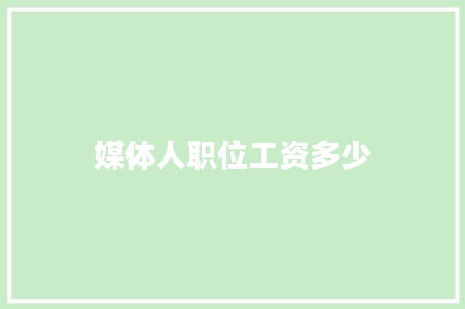 媒体人职位工资多少