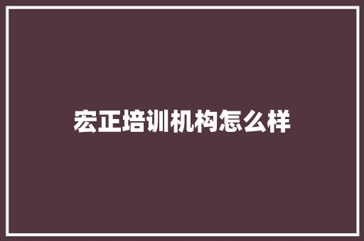 宏正培训机构怎么样