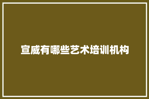 宣威有哪些艺术培训机构