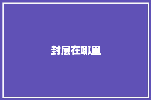 封层在哪里
