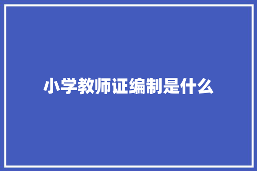 小学教师证编制是什么