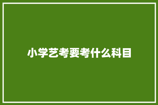 小学艺考要考什么科目