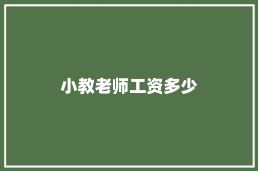 小教老师工资多少