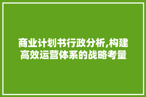 商业计划书行政分析,构建高效运营体系的战略考量