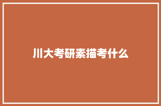 川大考研素描考什么