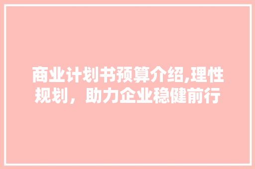 商业计划书预算介绍,理性规划，助力企业稳健前行