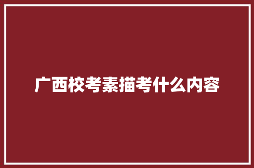 广西校考素描考什么内容
