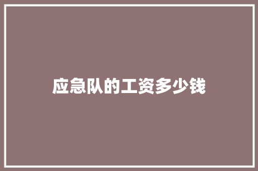 应急队的工资多少钱