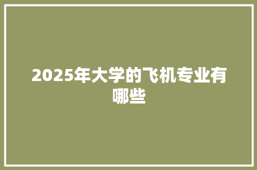 2025年大学的飞机专业有哪些