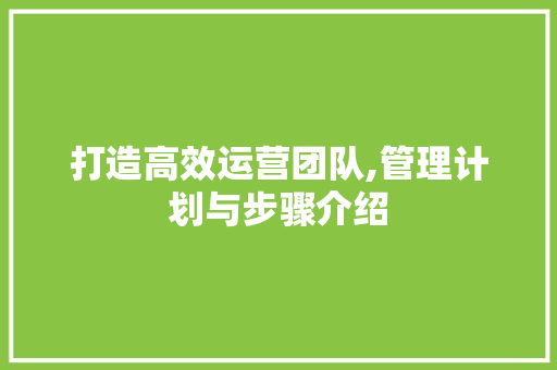 打造高效运营团队,管理计划与步骤介绍