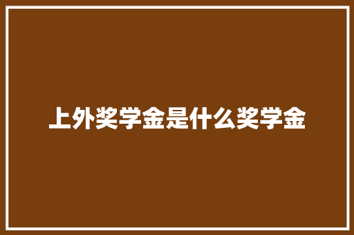 上外奖学金是什么奖学金