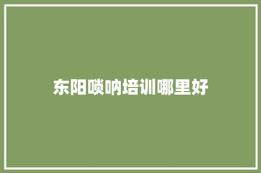 东阳唢呐培训哪里好