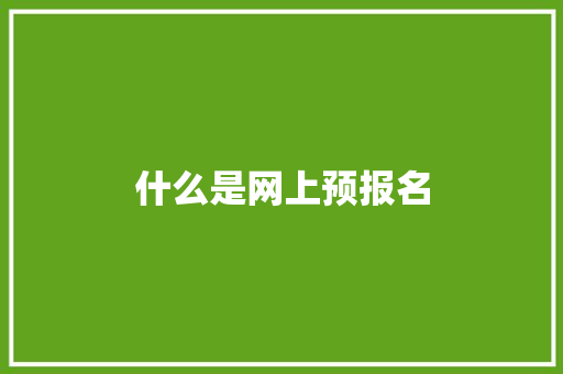 什么是网上预报名