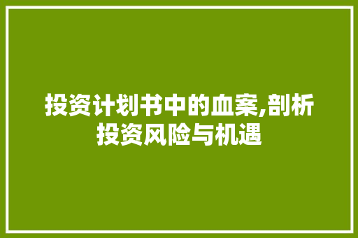 投资计划书中的血案,剖析投资风险与机遇